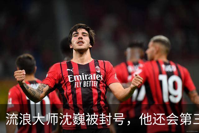 流浪大师沈巍被封号，他还会第三次复出么？