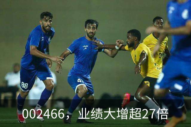 002466，业绩大增超27倍